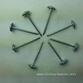 umbrella galvanized roofing nail